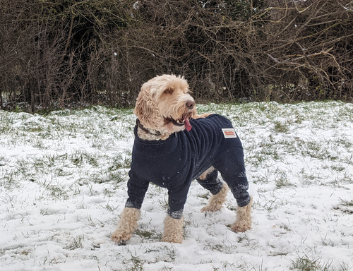 Navy Ultimutt Fleece